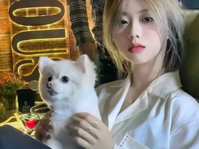 在抖音直播间怎么举报成功的方法呢，抖音直播间举报总是失败？这一篇教你有效维权