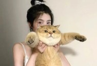 如何快速举报非原创抖音视频违规呢知乎，原创遭遇搬运别慌，掌握这几招，快速举报违规视频