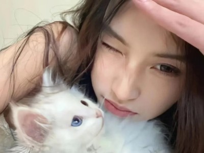 小红书辱骂举报，维权还是冒险？深扒在小红书挂人谩骂与投诉的真实后果