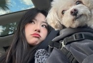 抖音下架举报视频有用吗安全吗知乎怎么解除，抖音举报下架视频真的有用吗？流程安全吗？一篇说透