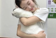 抖音直播买东西不发货怎么办，抖音直播间下单不发货？手把手教你高效投诉和追回货款