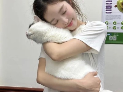 抖音作品怎么举报下架的作品，抖音举报维权全攻略，手把手教你下架违规作品，关键时刻可找专业团队助攻