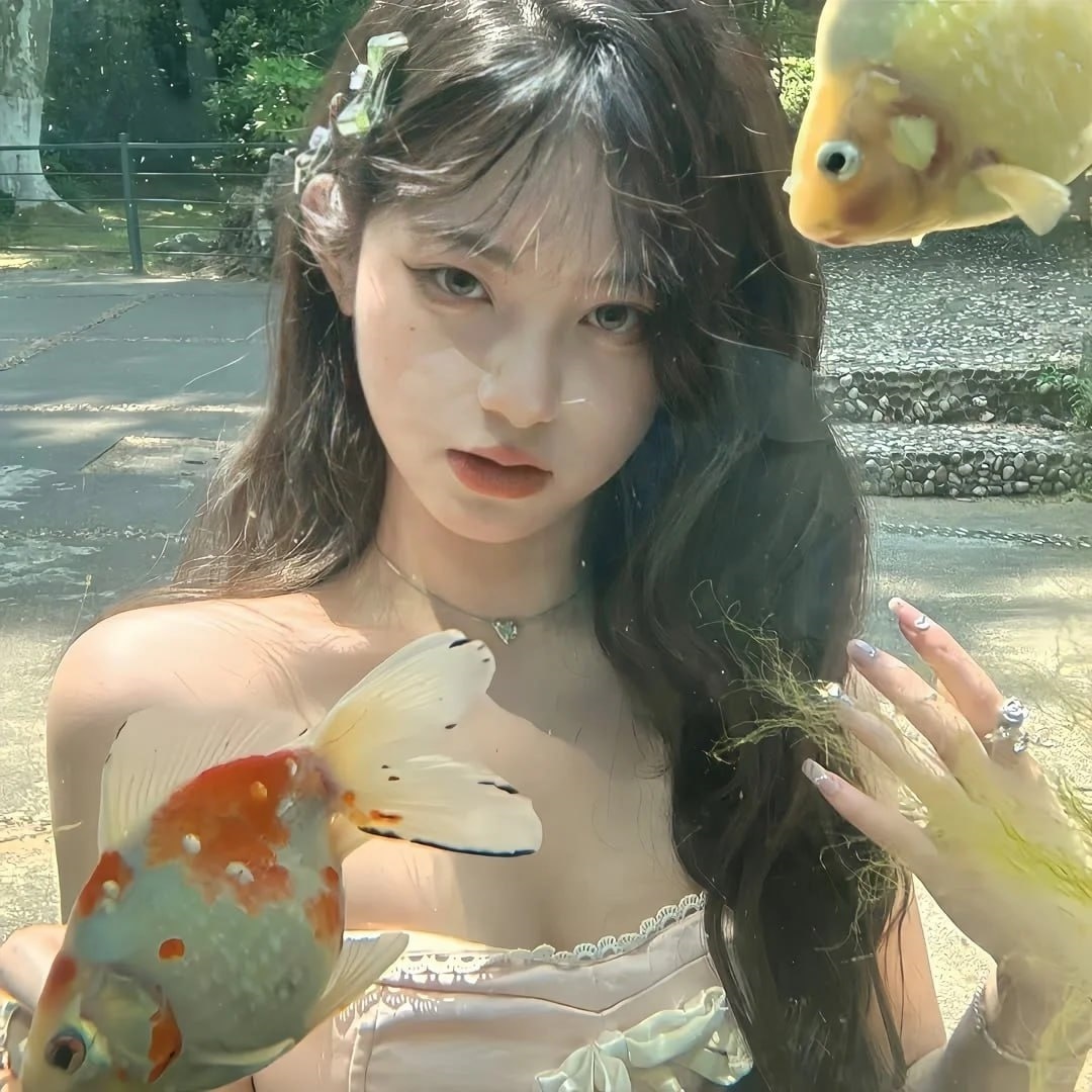 如何撤销抖音举报视频号的申请，这里为你撰写的文章标题和文章内容